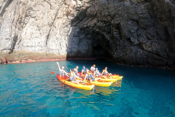 Tenerife: Kayak and snorkel with marine life safari - Weather, timing, and practical planning