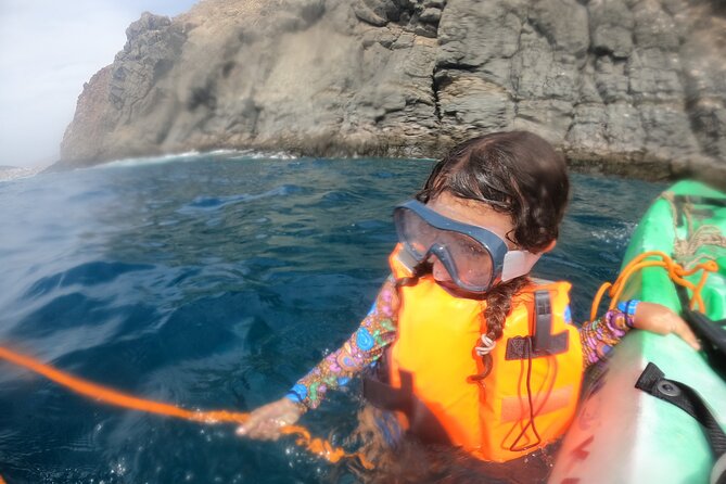 Tenerife: Kayak and snorkel with marine life safari - Who will enjoy this Tenerife sea safari
