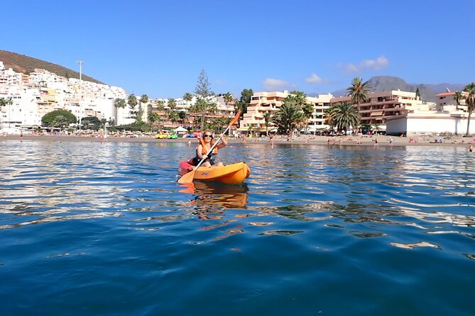 Tenerife: Kayak and snorkel with marine life safari - Should you book it?