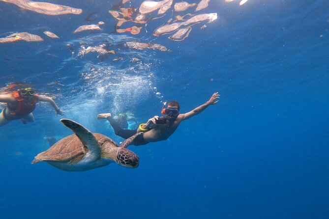 Tenerife: Kayak and snorkel with marine life safari - The return trip is where fitness matters
