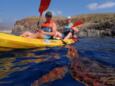 Kayak and Snorkel with Turtles, Wetsuits Included