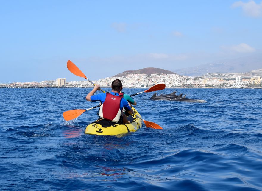 Tenerife: Kayak and Snorkel with Turtles, Wetsuits Included - Cueva de los Enamorados and the return route