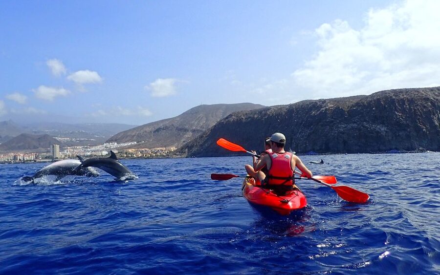 Tenerife: Kayak and Snorkel with Turtles, Wetsuits Included - What the $35 price includes