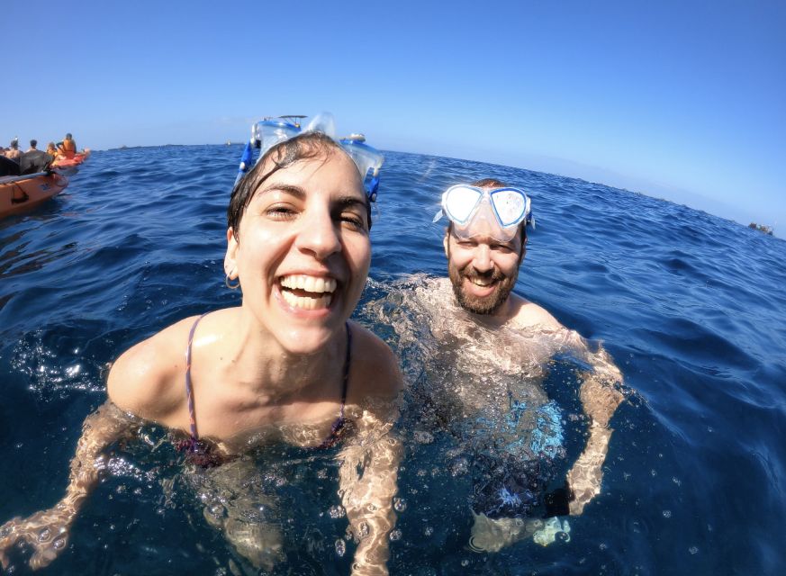 Tenerife: Kayak Safari and Sea Turtle Snorkeling with Photos - What the $29 price really covers