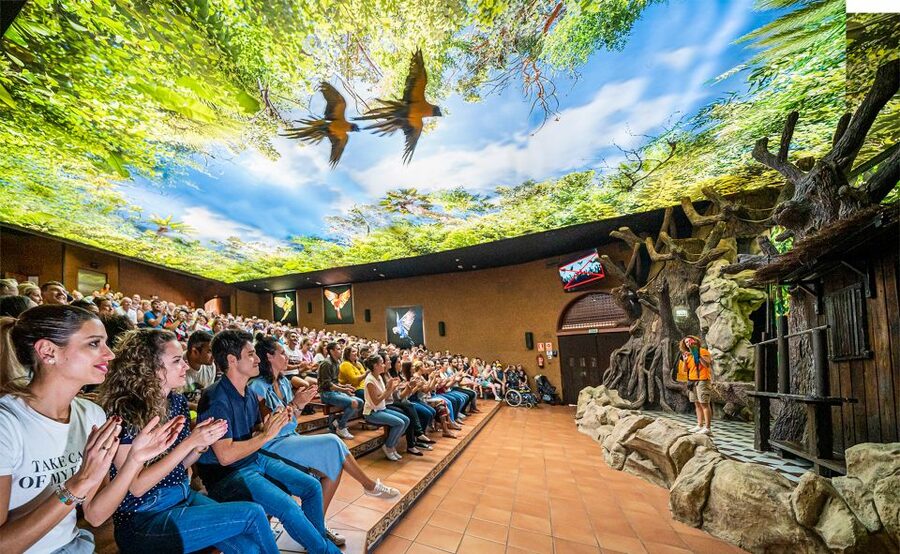 Tenerife: Loro Parque Entry Ticket - Key Points at a Glance