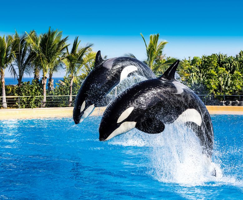 Tenerife: Loro Parque Entry Ticket - Who Will Enjoy It Most