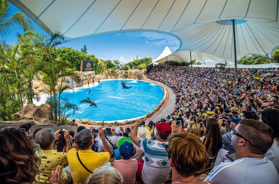 Tenerife: Loro Parque Entry Ticket - Why Loro Parque Deserves a Full Day