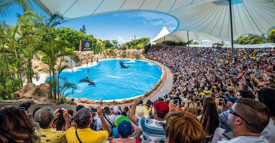 Tenerife: Loro Parque Entry Ticket - Planning the Four Presentations