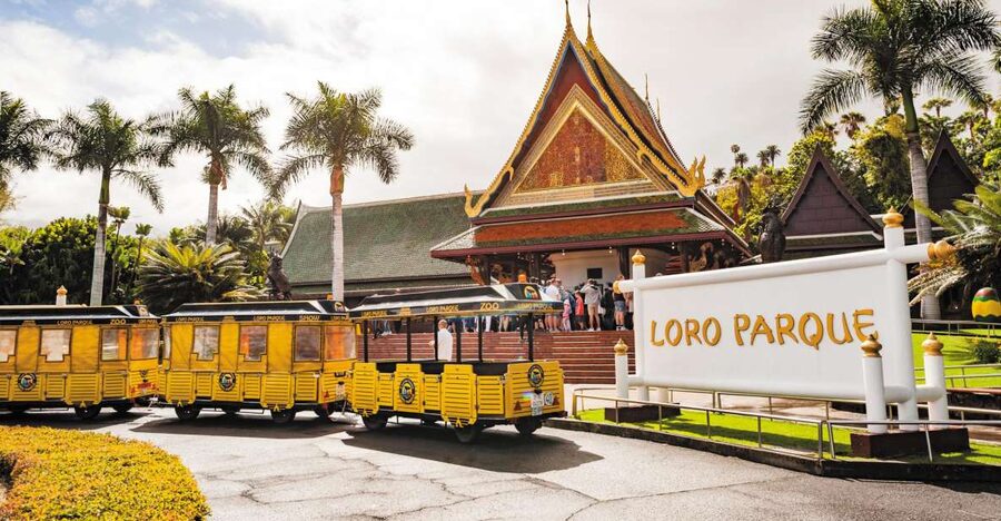Tenerife: Loro Parque & Siam Park Entry Ticket with Transfer - What the Loro Parque transfer is really like