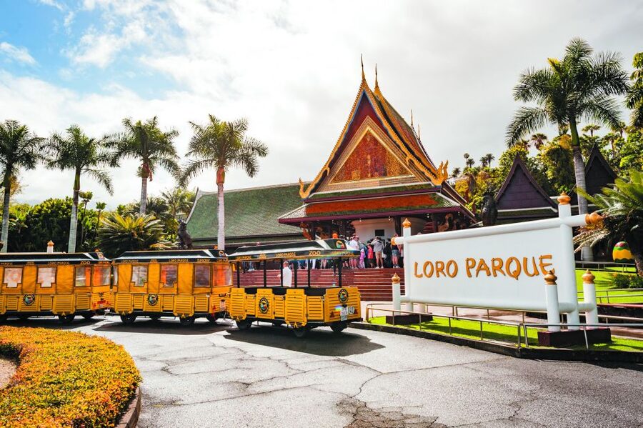 Tenerife: Loro Parque & Siam Park Entry Ticket with Transfer - Loro Parque: allow the full day
