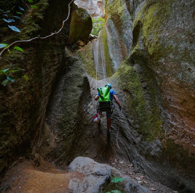 Tenerife: Los Arcos Canyoning Tour with Guide - Why Los Arcos feels different from Tenerife’s usual sights