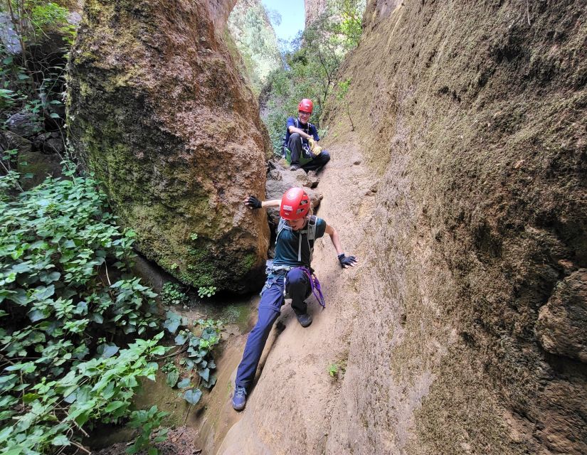 Tenerife: Los Arcos Canyoning Tour with Guide - The 22-meter rappel is the day’s first big test