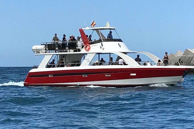 Tenerife Los Cristianos: Whale and Dolphin Eco-Yacht and Swim Stop - Timing, Comfort, and the Best Seat
