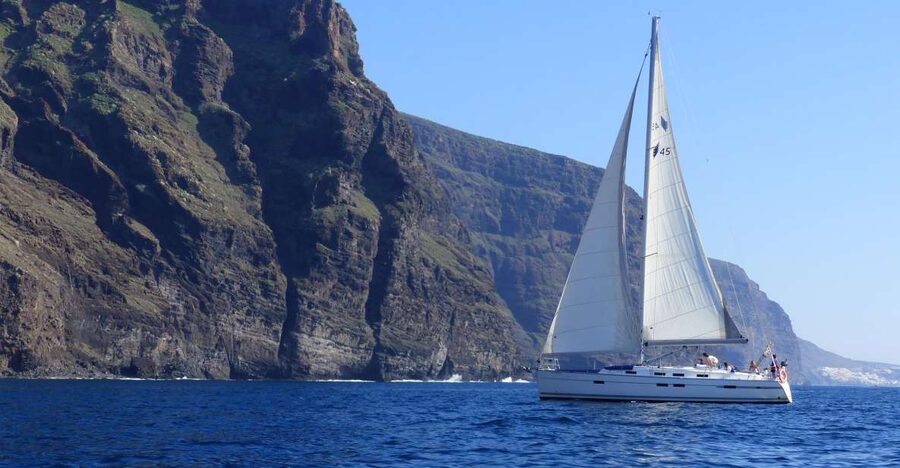 Tenerife: Los Gigantes Whale Watching Cruise by Sail Boat - Two hours looking for whales and dolphins