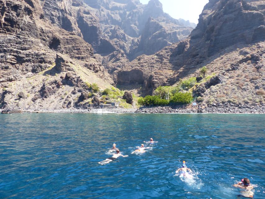 Tenerife: Los Gigantes Whale Watching Cruise by Sail Boat - Practical tips before you go
