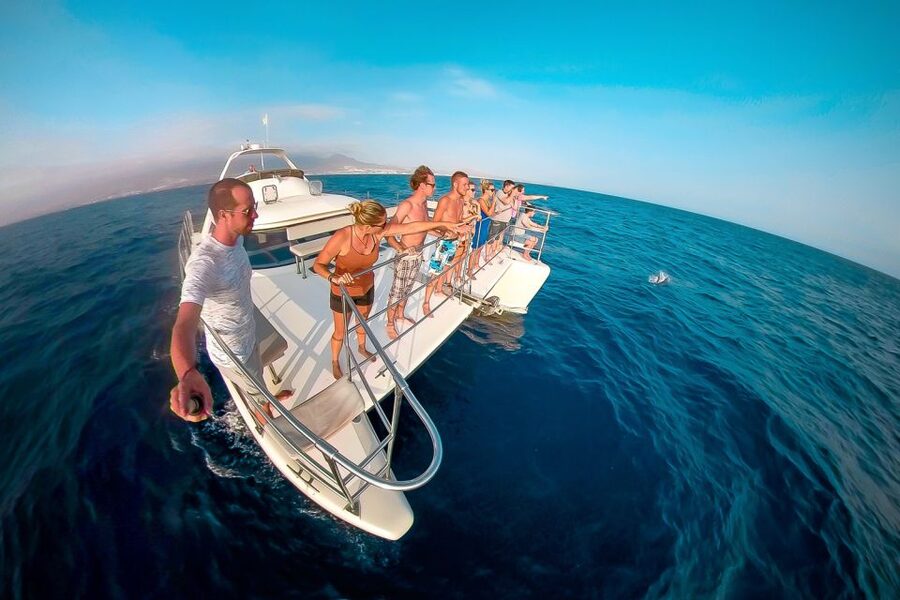 Tenerife: Marine-Life Tour with Transfer, Buffet and Drinks - Who will enjoy this Tenerife catamaran cruise?