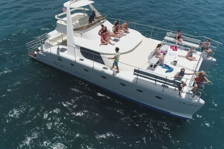 Tenerife: Marine-Life Tour with Transfer, Buffet and Drinks - Why the whales and dolphins make this boat trip special