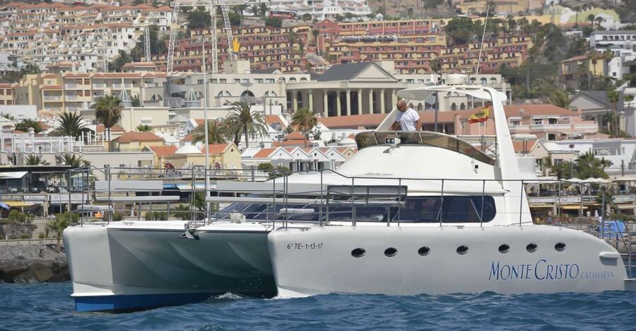 Tenerife: Marine-Life Tour with Transfer, Buffet and Drinks - Searching for pilot whales and dolphins off Tenerife