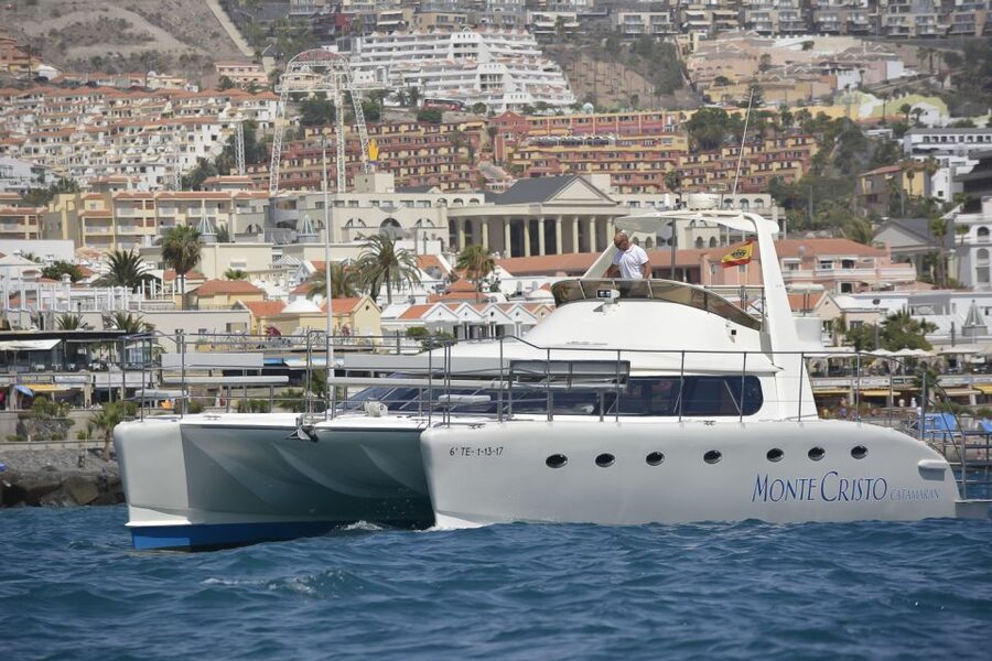 Tenerife: Marine-Life Tour with Transfer, Buffet and Drinks - Three hours aboard the Monte Cristo Catamaran