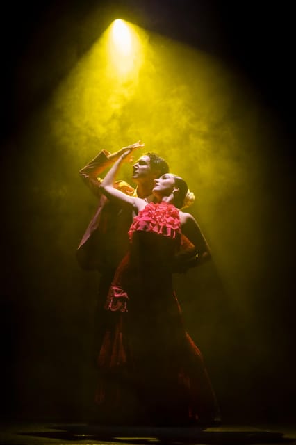 Tenerife : Olé Flamenco Show by Fran Chafino Ticket - Las Olas Showroom and the question of seating