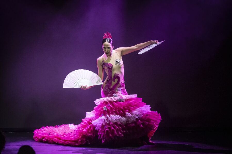 Tenerife : Olé Flamenco Show by Fran Chafino Ticket - A polished show with genuine flamenco energy