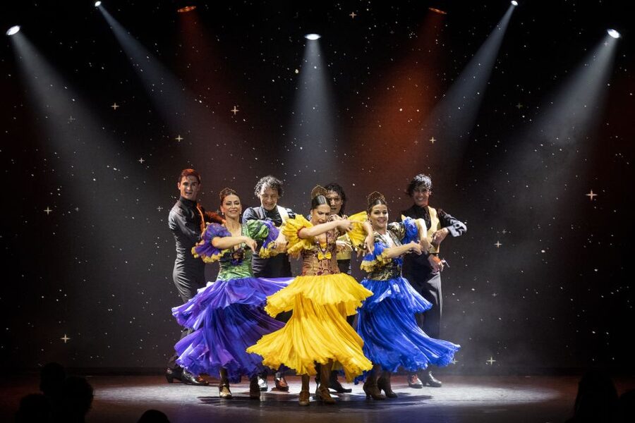 Tenerife : Olé Flamenco Show by Fran Chafino Ticket - Booking details worth knowing
