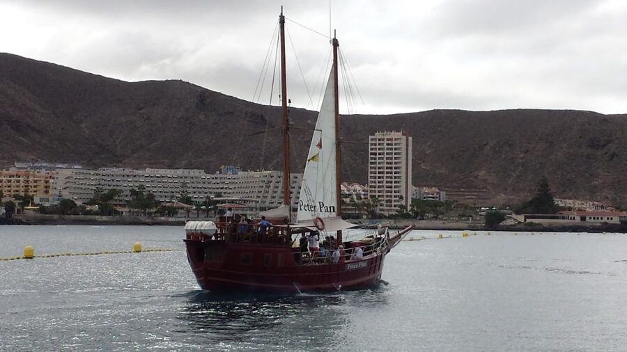 Tenerife:Respectful Whale Watching, Pirate Ship, & Swim - Key points to know before booking