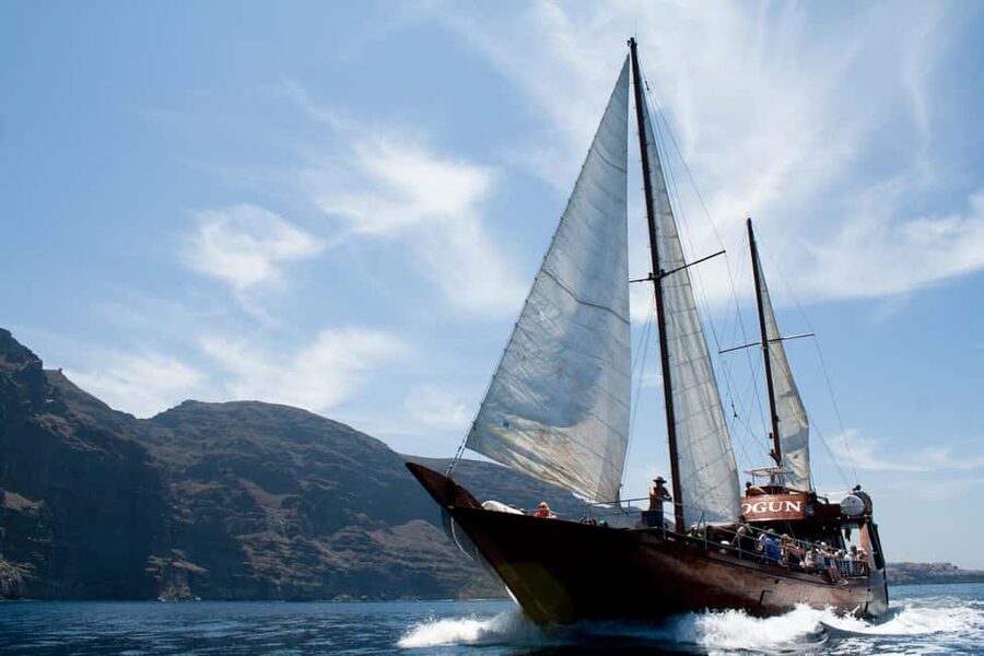 Tenerife:Respectful Whale Watching, Pirate Ship, & Swim - Booking details worth checking