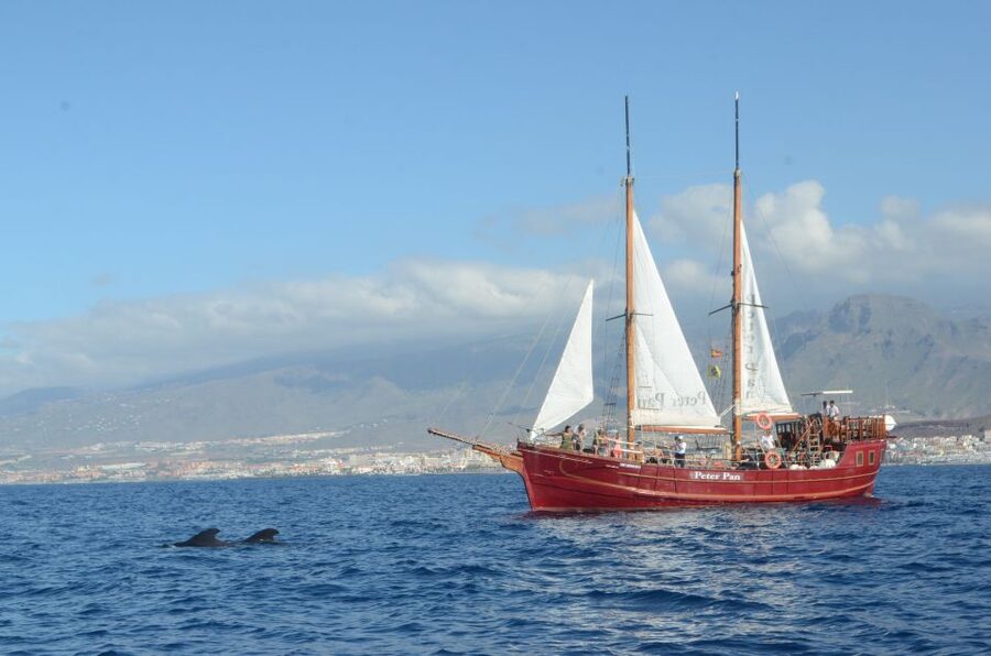 Tenerife:Respectful Whale Watching, Pirate Ship, & Swim - Setting out from Puerto Los Cristianos