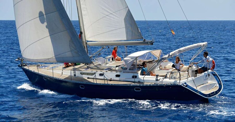 Tenerife: Sailing Excursion with Whale and Dolphin Watching - The swim and snorkel stop