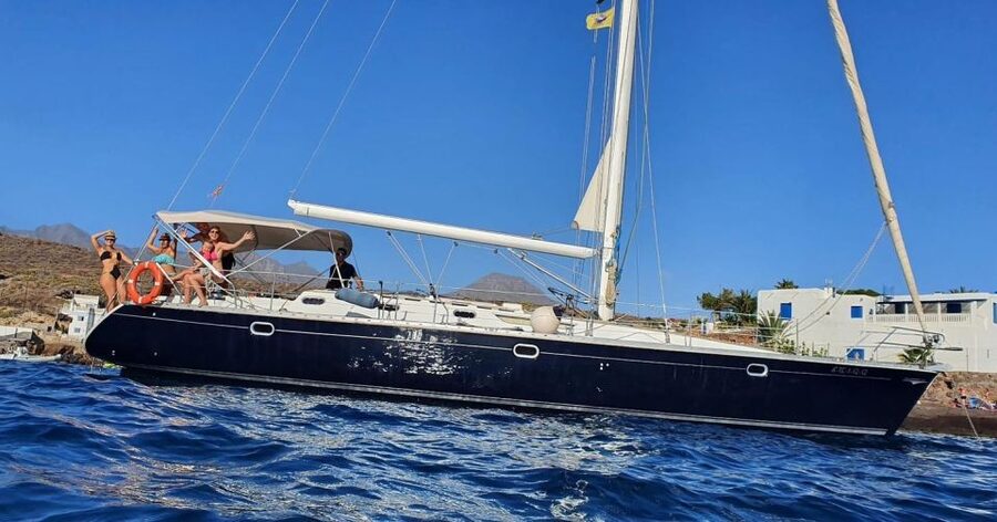 Tenerife: Sailing Excursion with Whale and Dolphin Watching - Sea conditions and motion sickness