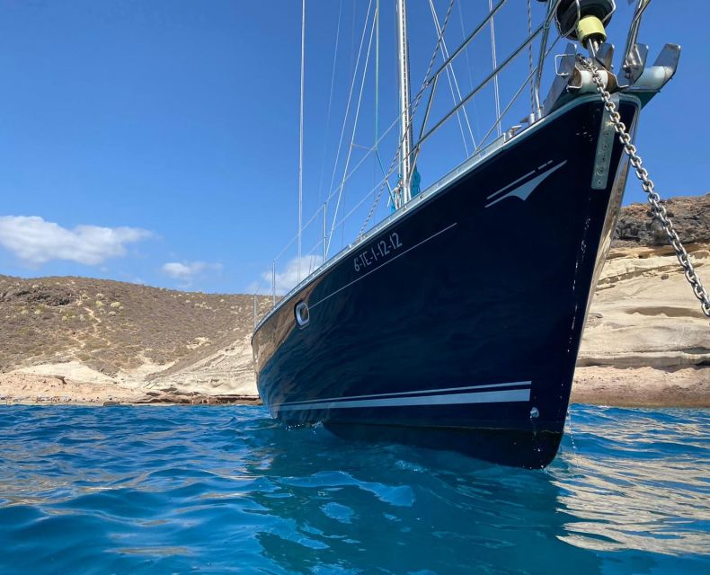 Tenerife: Sailing Excursion with Whale and Dolphin Watching - How the $88 price compares in real terms