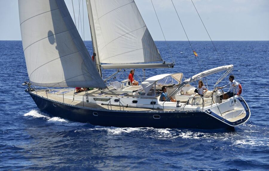 Tenerife: Sailing Excursion with Whale and Dolphin Watching - What happens during the three-hour outing