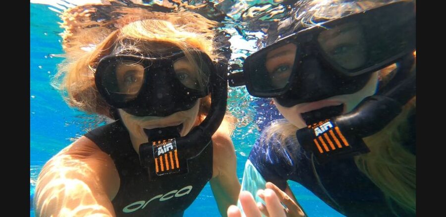 Tenerife: Snorkeling Tour in a Marine Protected Area - Key points to know before you book
