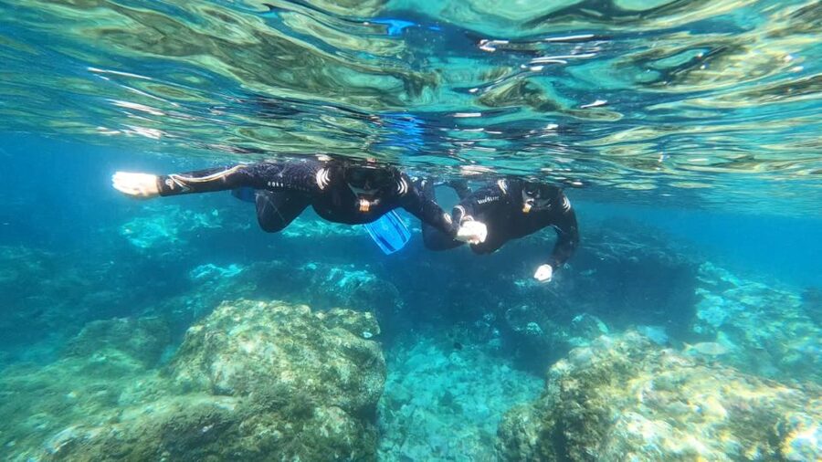 Tenerife: Snorkeling Tour in a Marine Protected Area - Getting ready with Raffaella and Ron
