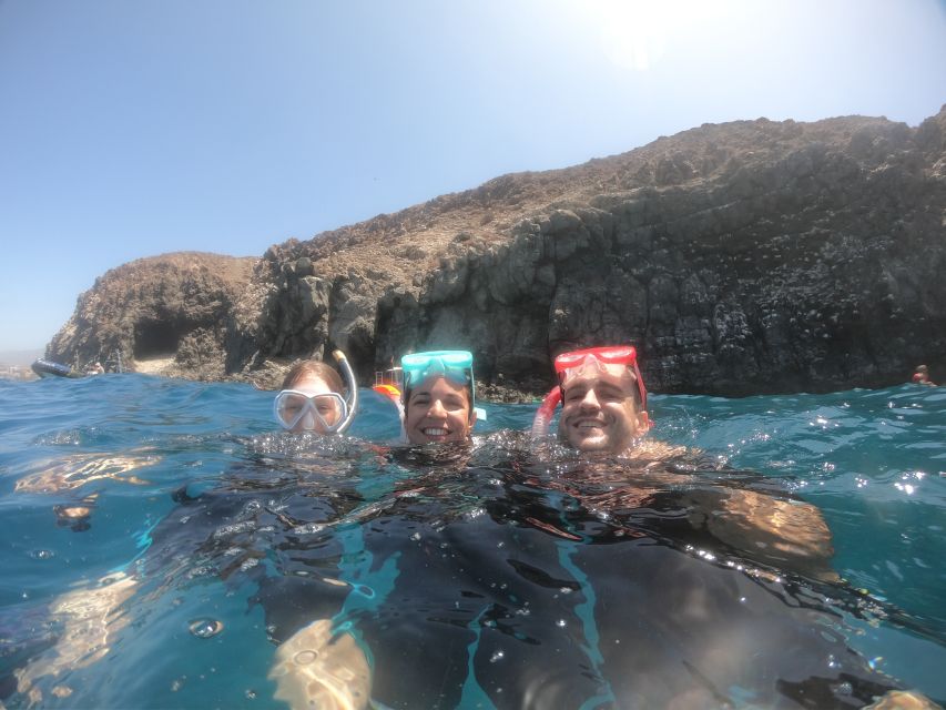 Tenerife: Snorkeling Trip in a Turtle Habitat - Who should book this snorkeling trip?