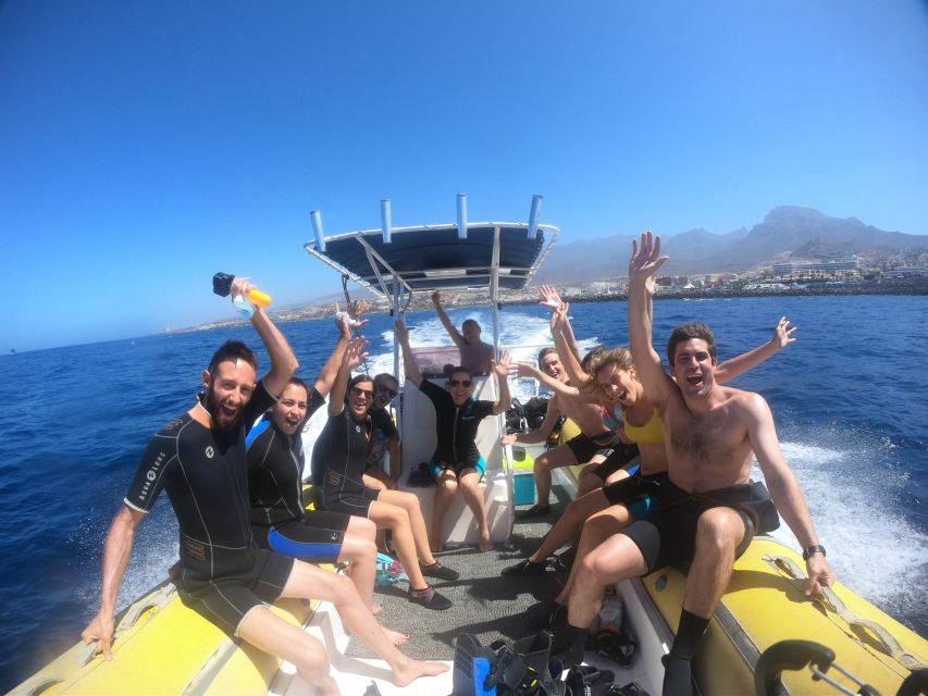 Tenerife: Snorkeling Trip in a Turtle Habitat - Timing, weather, and the limits of wildlife