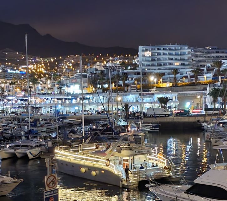 Tenerife: Sunset Catamaran Tour with Transfer, Buff & Drinks - Who will enjoy this evening cruise most