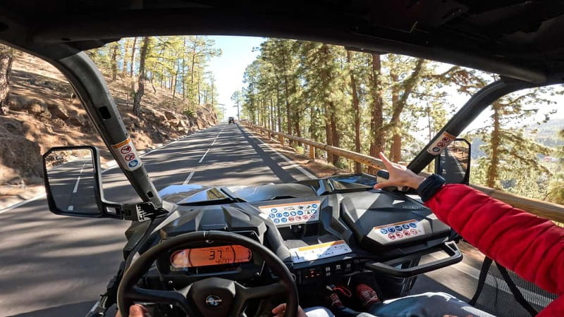 Tenerife: Teide National Park Guided Buggy Tour - The climb to 2,200 meters