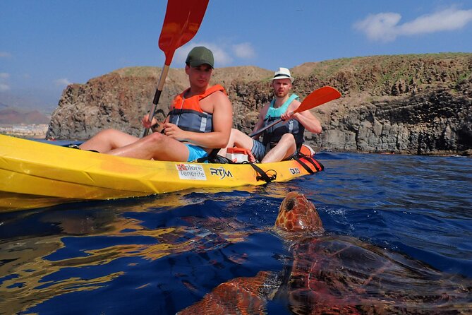 Tenerife: Turtle & Dolphin Kayak Tour with Snorkel & Wetsuit - Paddling the west coast for about six kilometers