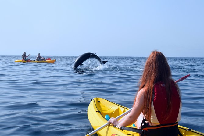 Tenerife: Turtle & Dolphin Kayak Tour with Snorkel & Wetsuit - The snorkeling stop and what you may see underwater