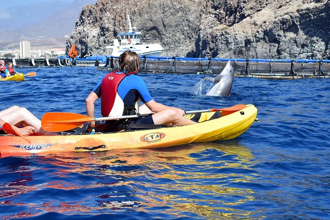 Tenerife: Turtle & Dolphin Kayak Tour with Snorkel & Wetsuit - The return route and views toward Mount Teide