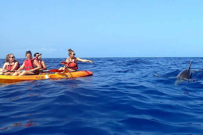 Tenerife: Turtle & Dolphin Kayak Tour with Snorkel & Wetsuit - Who will enjoy this outing most