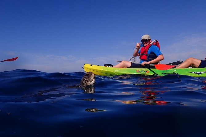 Tenerife: Turtle & Dolphin Kayak Tour with Snorkel & Wetsuit - Timing, weather, and sensible preparation