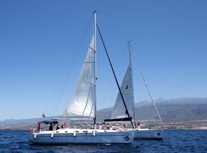 Tenerife: Whale and Dolphin Watching Tour by Sailboat - What to pack for the three hours