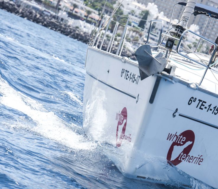 Tenerife: Whale and Dolphin Watching Tour by Sailboat - Seasickness, comfort, and the crew