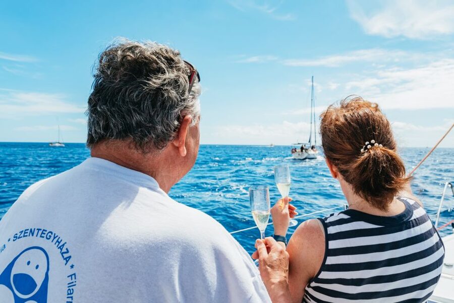 Tenerife: Whale & Dolphin Watching with Drinks and Snacks - Should you book Tenerife Sailing Charters?