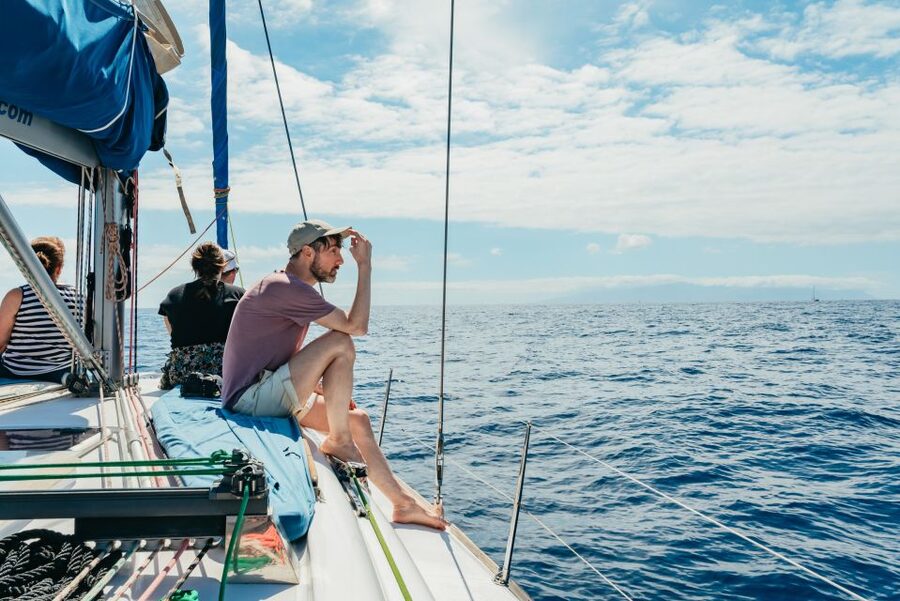 Tenerife: Whale & Dolphin Watching with Drinks and Snacks - Snorkeling in a secluded bay