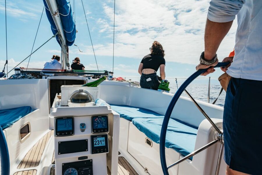 Tenerife: Whale & Dolphin Watching with Drinks and Snacks - The value of $77 for three hours