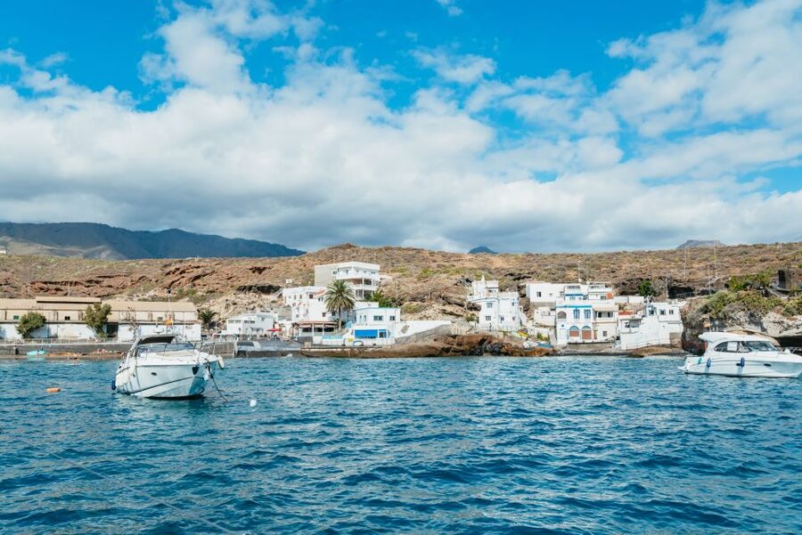 Tenerife: Whale & Dolphin Watching with Drinks and Snacks - Practical planning for your three hours